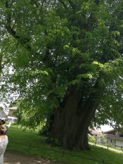 chiemsee_teambuilding2016 (26)