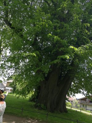 chiemsee_teambuilding2016 (26)