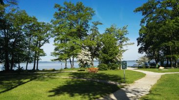 chiemsee_teambuilding2016 (5)