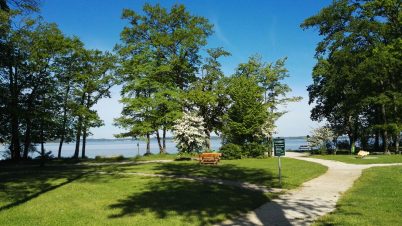 chiemsee_teambuilding2016 (5)